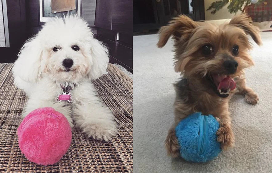 Active Rolling Ball | Interactive Dog Toy with Unpredictable Movement | Engaging Playtime for Mental Stimulation