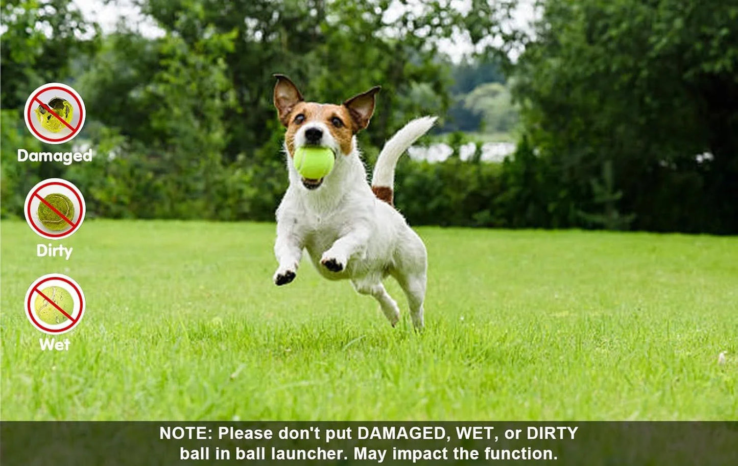 Fetch Buddy | Automatic Dog Ball Thrower with Adjustable Distance | Engaging Playtime for Small Dogs