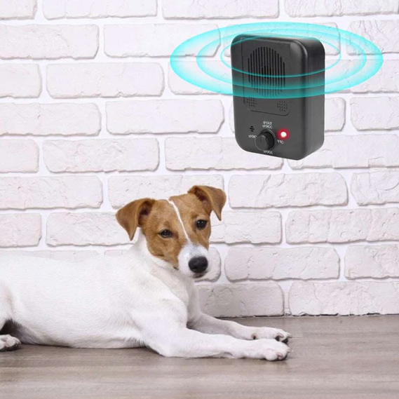 Calm Companion | Anti Bark Collar with Adjustable Sensitivity | Humane Stop Dog Barking Device for Peaceful Environments 5