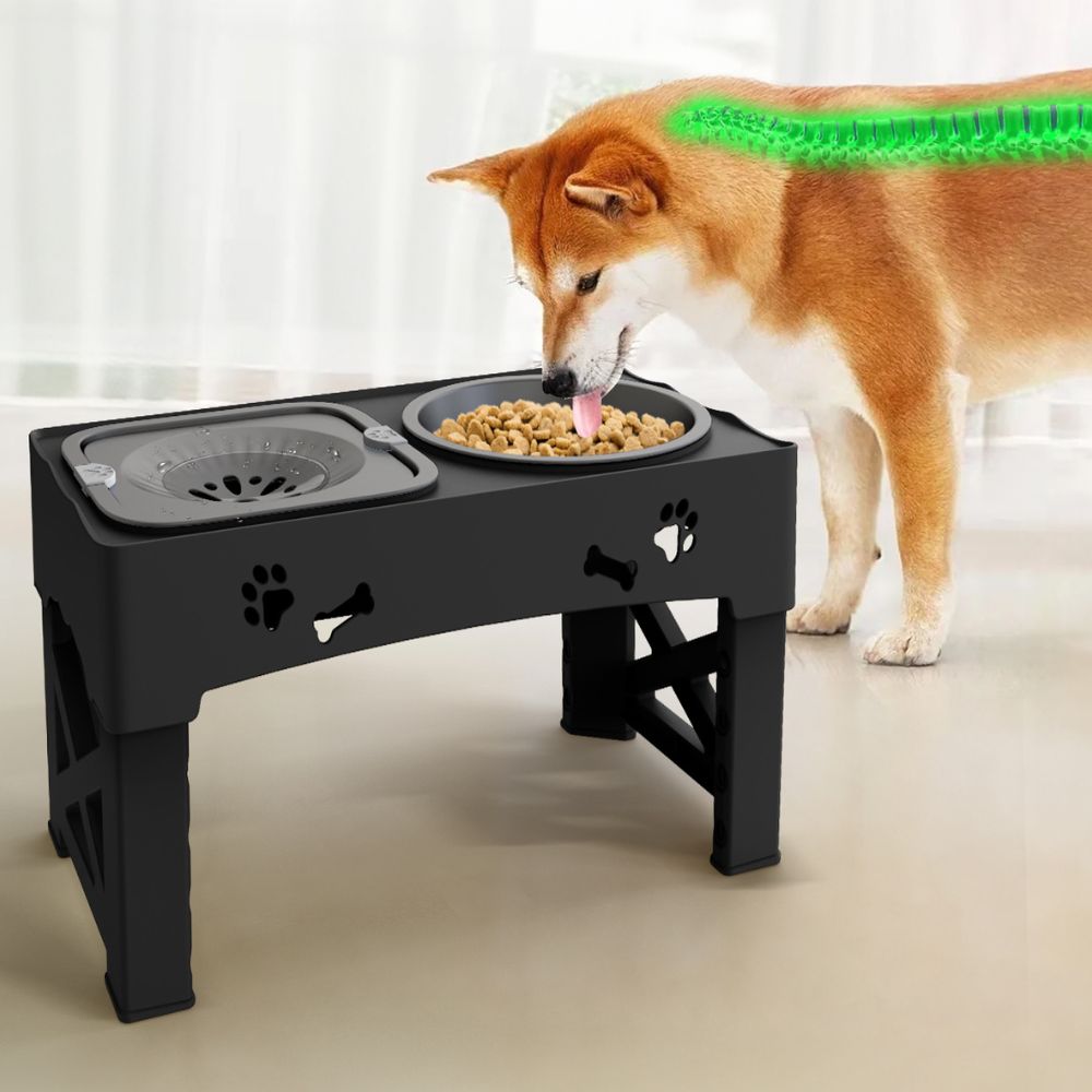 Elevated Dog Bowls | Adjustable Slow Feeder Dog Bowl with Non-Slip Base | Promotes Healthy Digestion for Mindful Eating 1