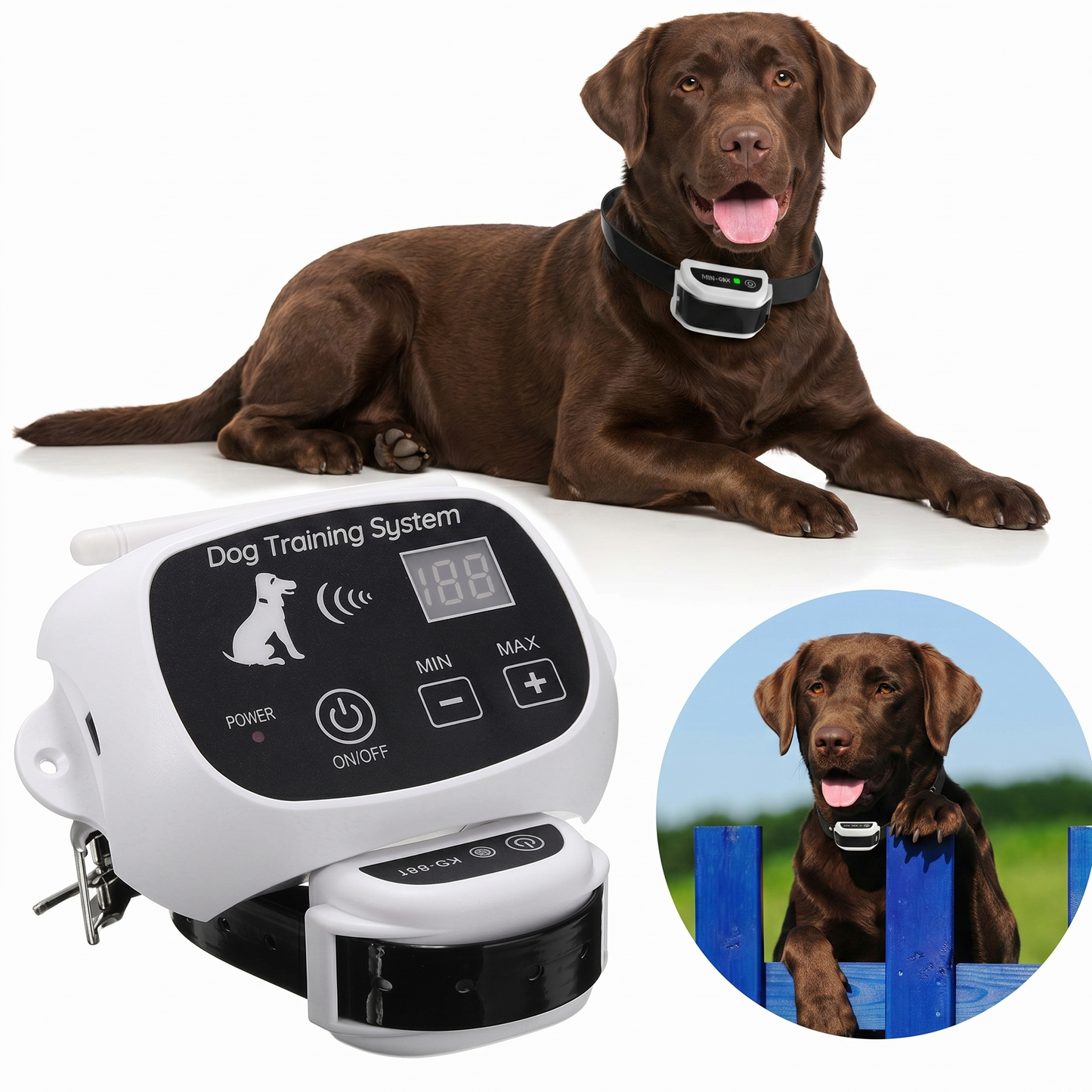 Secure Pet | Wireless Dog Fence Outdoor System with Adjustable Collar | Customizable Boundaries for Safe Roaming