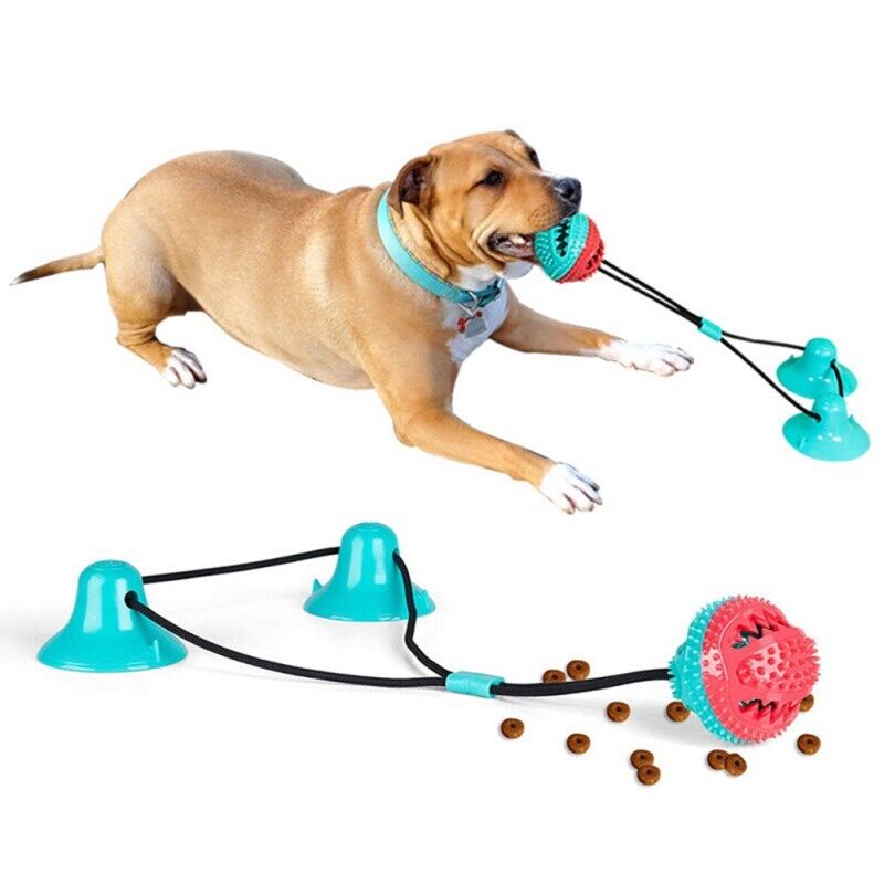 Interactive Dog Toys | Suction Dog Toy with Durable Design | Engaging Play for All Dog Sizes 1