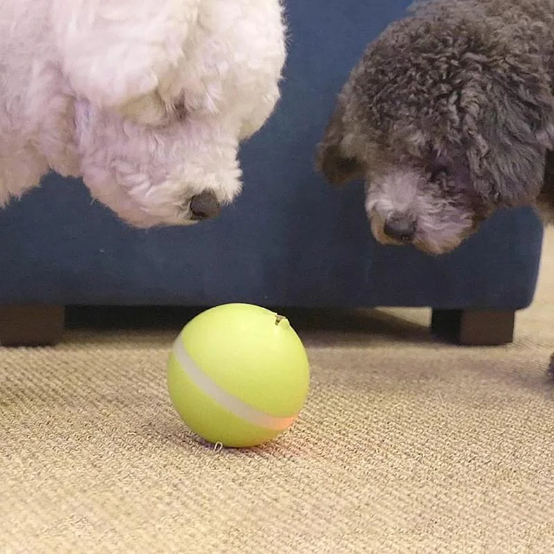 Interactive Pet Toy | Automated Dog & Cat Ball with 3 Response Modes | Engaging Playtime for Mental Stimulation 1