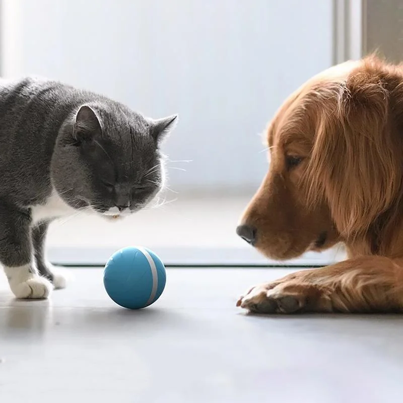 Interactive Pet Toy | Automated Dog & Cat Ball with 3 Response Modes | Engaging Playtime for Mental Stimulation 3