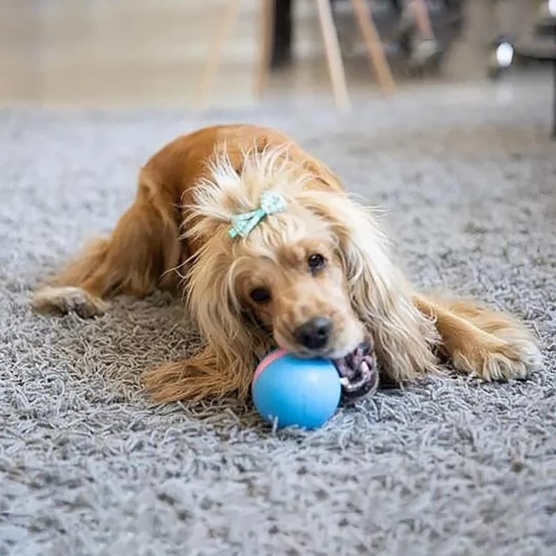 Interactive Pet Toy | Automated Dog & Cat Ball with 3 Response Modes | Engaging Playtime for Mental Stimulation 5