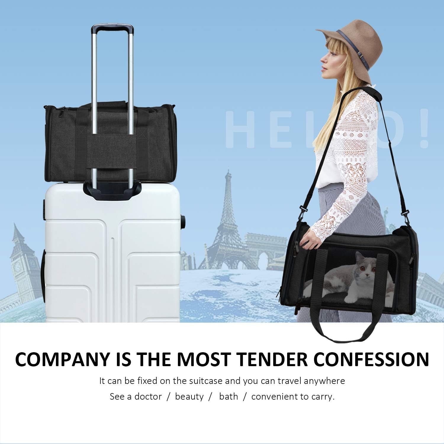 Pet Carrier Bag | Airline-Approved Cat & Dog Carrier with Comfortable 3-Layer Mat | Lightweight Travel Solution for Small Pets 2
