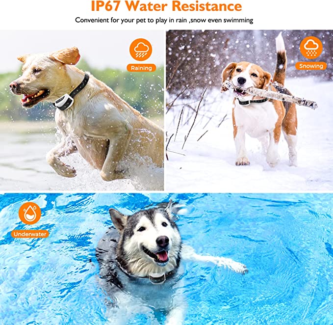 Secure Pet | Wireless Dog Fence Outdoor System with Adjustable Collar | Customizable Boundaries for Safe Roaming 2