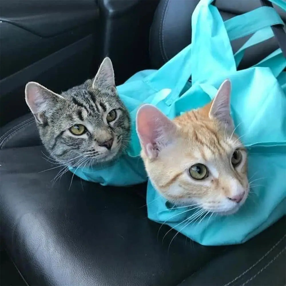 Travel Cat Carrier | Anti-Scratching Design with Breathable Oxford Cloth for Comfortable Pet Transport 2